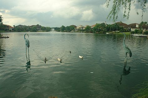 The pond at Windsor Park Lakes