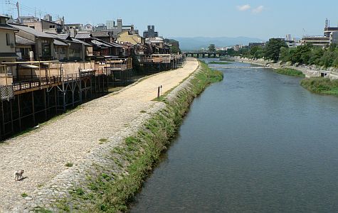 Kamo River