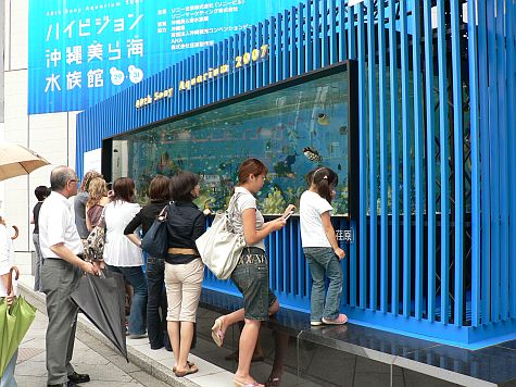 Aquarium Showroom