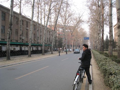 DI_20080311_Tsinghua_street_bike_EKI.jpg