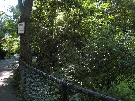 DI_20080803_Wychwood_Pond_fence.jpg