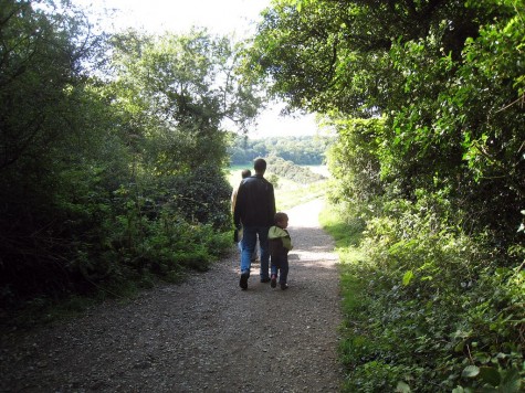 DI_20080914 094026 HappyValley walk clearing