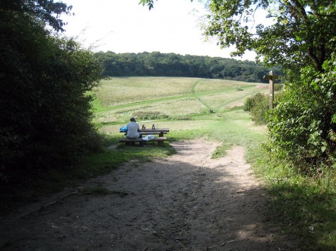 DI_20080914 094542 CoulsdonCommons picnic table