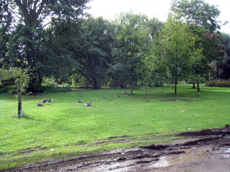 di_20080910-054824-york-lawn