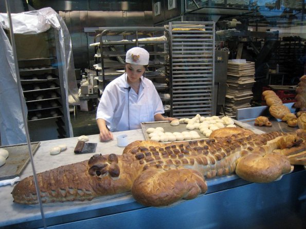 di_20081207-191516-boudinbakery-gator