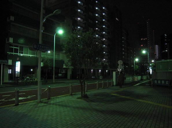 di_20090222-045554-shibaura-unga-dori-ahead