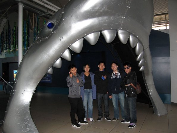 di_20090702-215754-sydneyaquarium-jaws