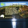 di_20090702-220918-sydneyaquarium-easternwaterdragon-sign