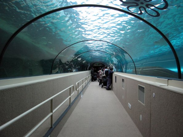 di_20090702-222436-oceanarium-tunnel