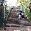 di_20090705-205812-mcelhone-stairs-family