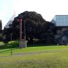 di_20090705-211518-artgnsw