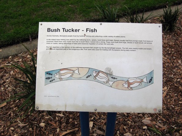 di_20090706-210410-parramatta-bush-tucker-fish-sign