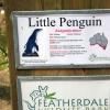 di_20090707-004842-featherdale-penguin-sign