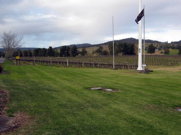 di_20090709-003204-wyndham-vines-flagpole