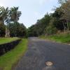 di_20090710-203944-capebyron-lighthouseroad