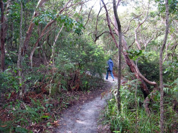 di_20090710-204400-capebyron-turn