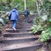 di_20090710-204946-capebyron-steps