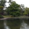 di_20090713-215340-mount-coot-tha-gardens-pond