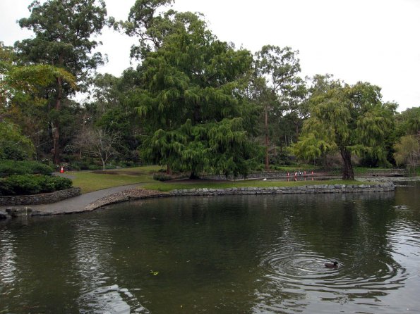 di_20090713-215340-mount-coot-tha-gardens-pond