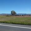 di_20090717-210042-aus-newenglandhwy-fields-tree