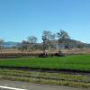 di_20090717-210738-newenglandhwy-overhead-sprinkler-irrigation