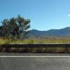 di_20090717-211944-newenglandhwy-rail-tree-ridge