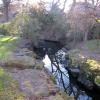 di_20100112-094655-addisontownhall-backyard-stream