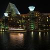 di_20100118-201534-disneydolphin-night