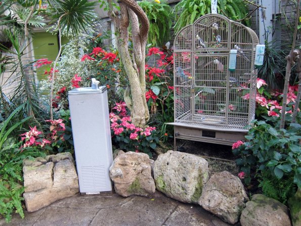 di_20100123-101348-centennialparkconservatory-fountain-birdcage