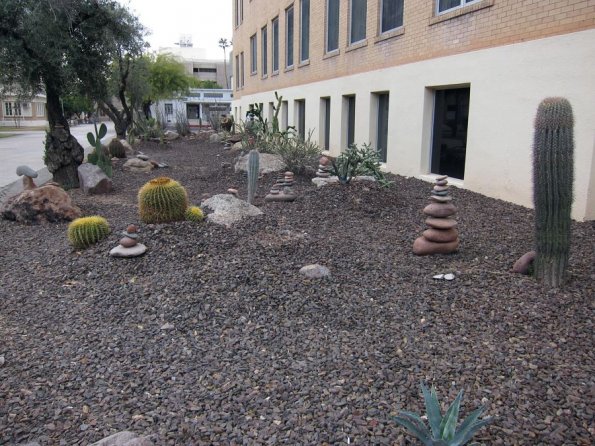 di_20100206-183458-asu-cactusgarden