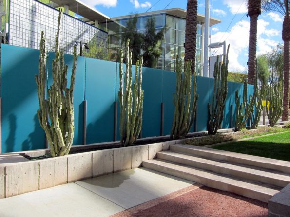 di_20100207-161712-mesaartscenter-shadowwalk-cactuses