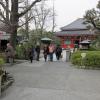 di_20100301-003202-askakusajinja-shrine-garden