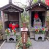 di_20100301-003258-askakusajinja-shrine-wrapped-rocks-duo-red