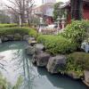 di_20100301-003318-askakusajinja-shrine-pond