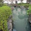 di_20100301-003329-askakusajinja-shrine-pond-bridge