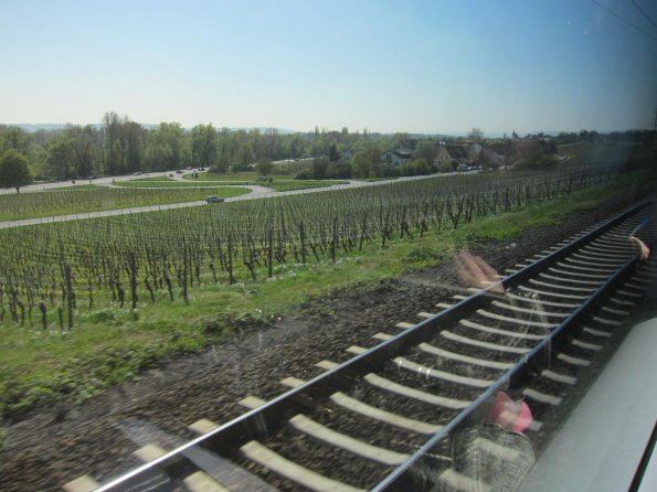 DI_20100417-073448-Rhine-vineyards