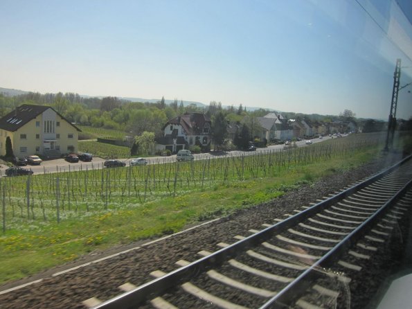 DI_20100417-073500-Rhine-vineyards-town