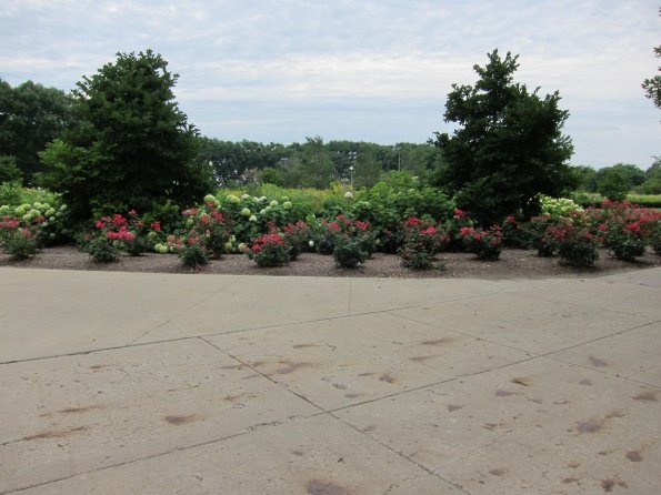 di_20100715-101038-chicago-daleybicentennialplaza-flowers