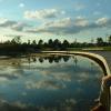 di_20100903-175253-woodbinepark-boardwalk