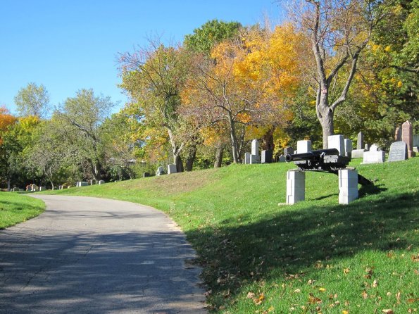 di_20101011-094609-mountroyal-cannons