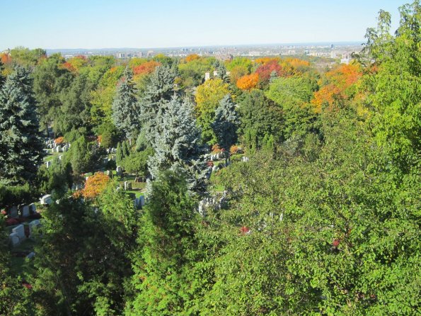 di_20101011-101457-mountroyal-view