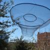 di_20110128-141246-phoenix-centralave-janetechelman-hersecretispatience