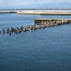 di_20110302-205319-benten-bashibridge-pier-birds