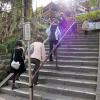 di_20110303-003227-hasedera-stairs-up