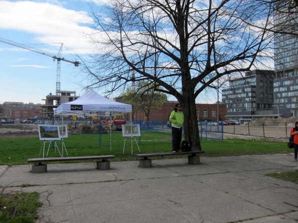 di_20110507-105411-regentpark-janeswalk-field