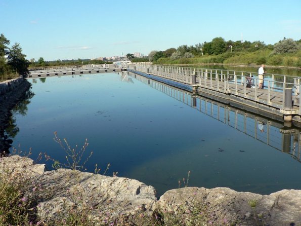 di_20120728_165602_humberbayparkeast fishhabitat