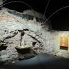 di_20121129_110621_aboavetus_crossvaultedcellar