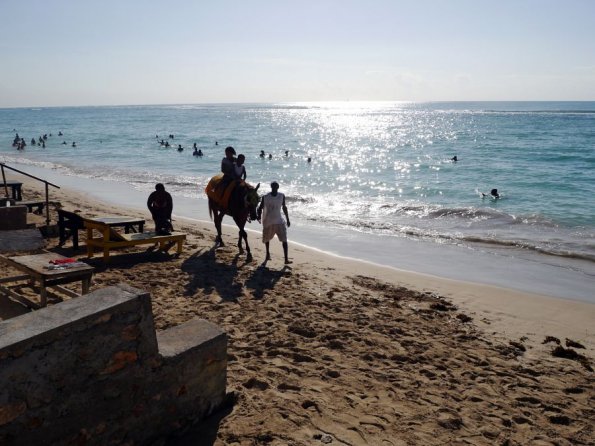 di_20130113_090417_hellshirebeach_pony