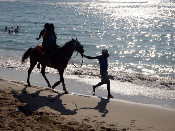 di_20130113_090545_hellshirebeach_pony