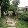 di_20130629_234616_chineseethnicmuseum_jino_trees